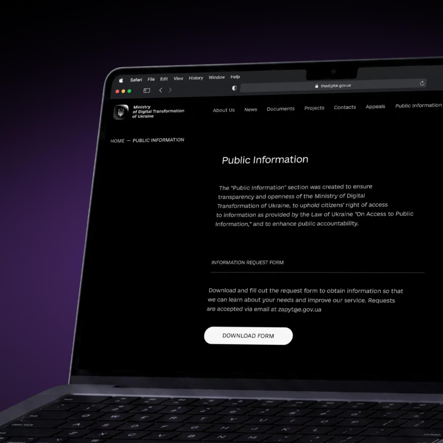 Requirements for the development of government websites