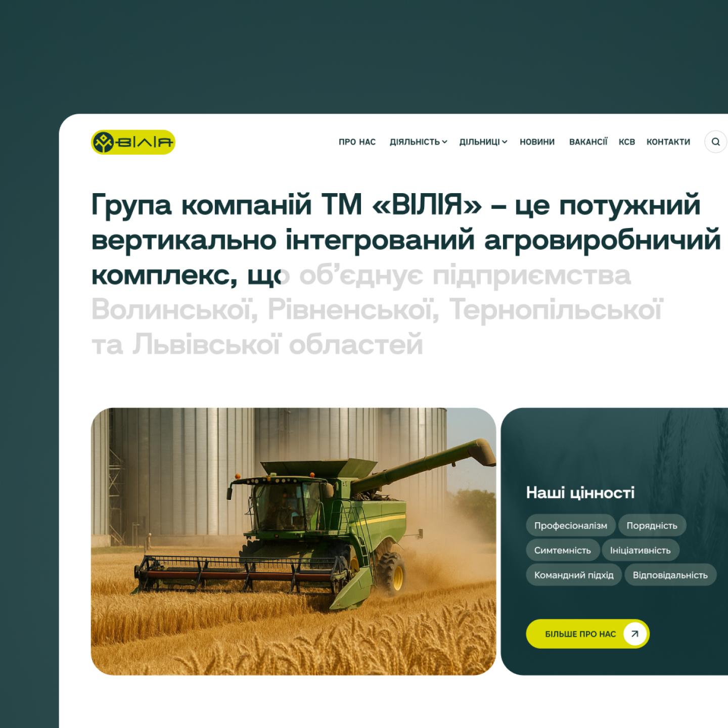 Опис про компанію ВІлія Груп