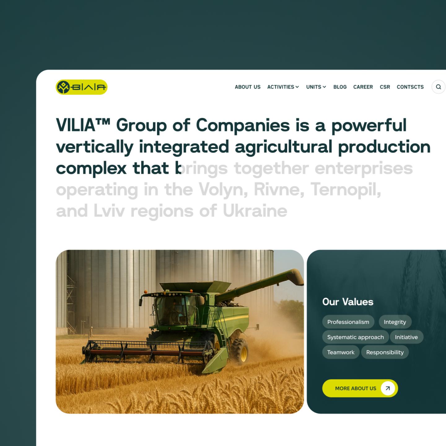 Description of the company Vilia Group