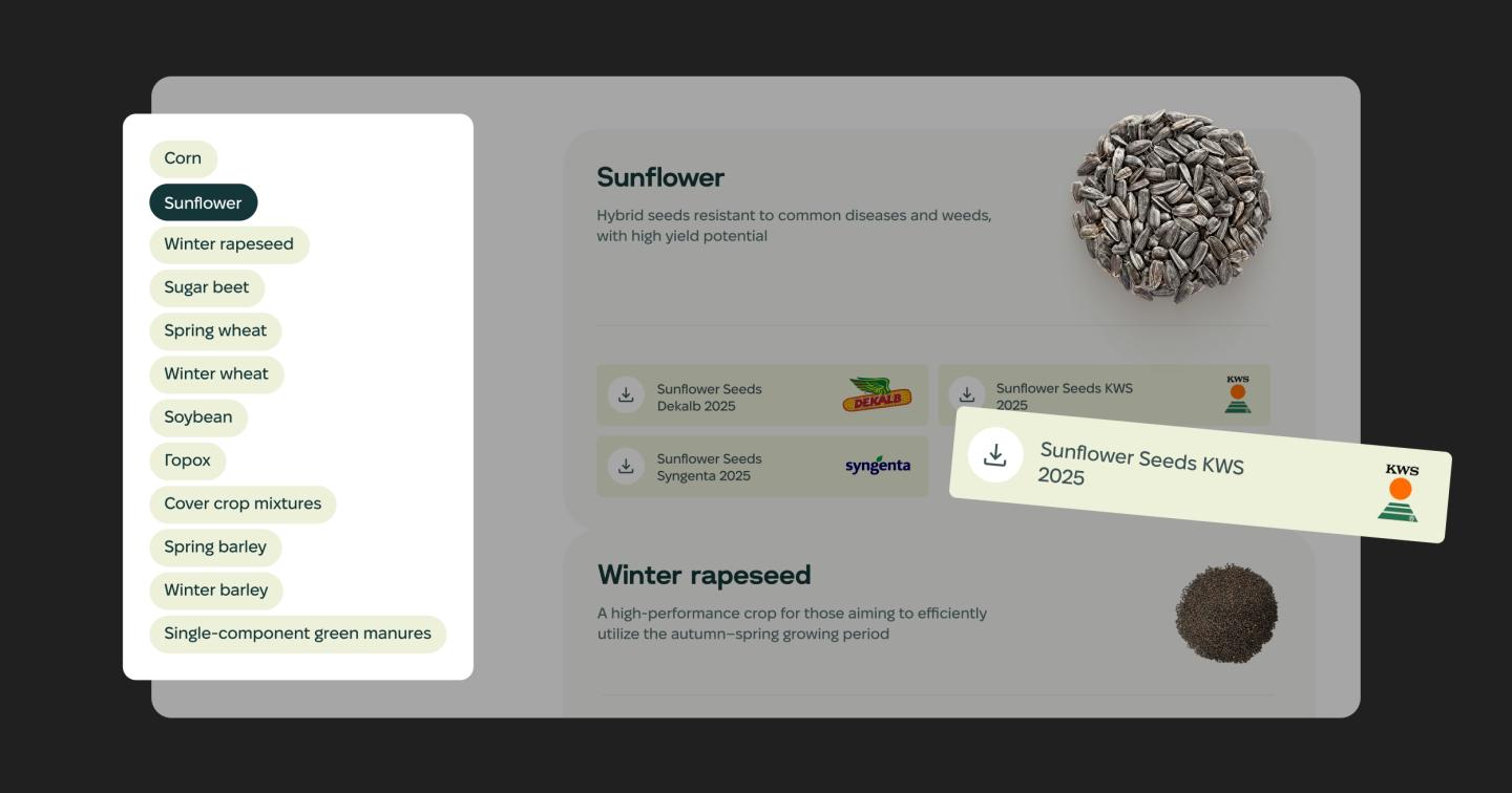 Seeds
